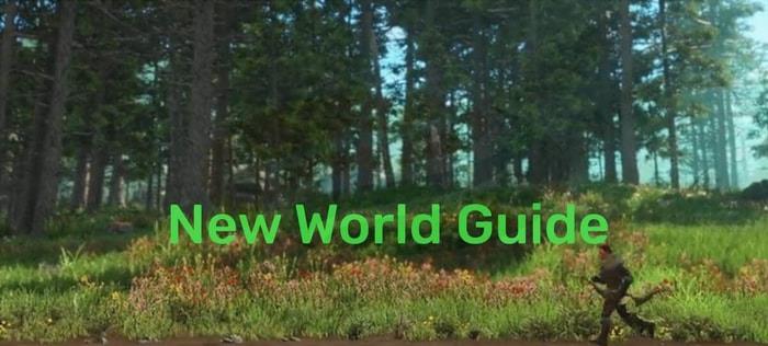 New World Guide